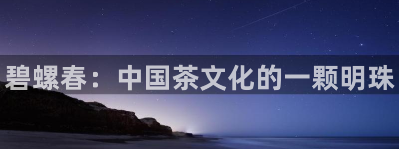 年会金