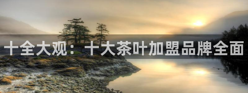 金年会体育官网