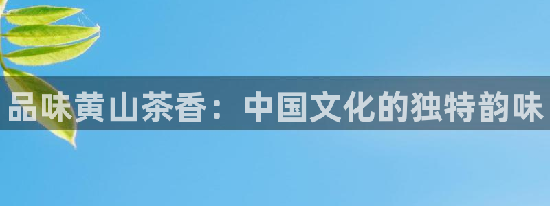 金年会官网