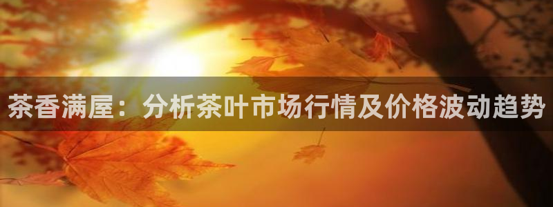金年会金年华