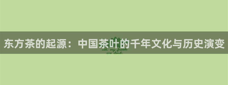 金吉年会