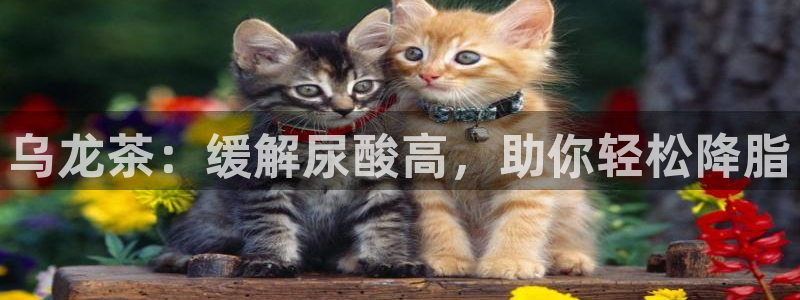 金年会平台包赔