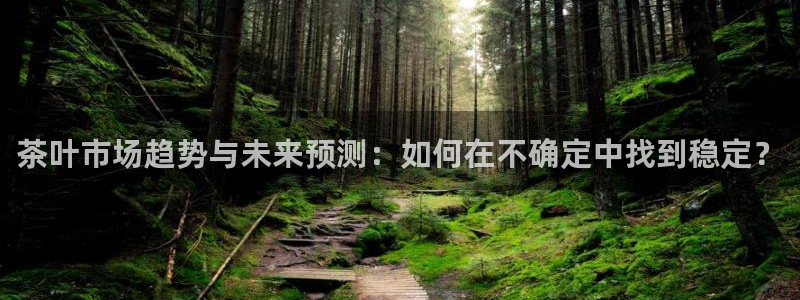 金立年会