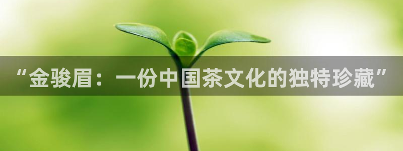 金年会黑网