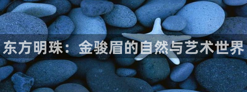 金年会最新登录