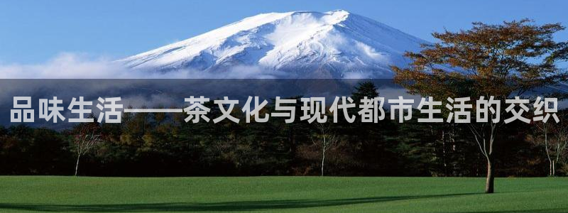 金年会官方网站登录
