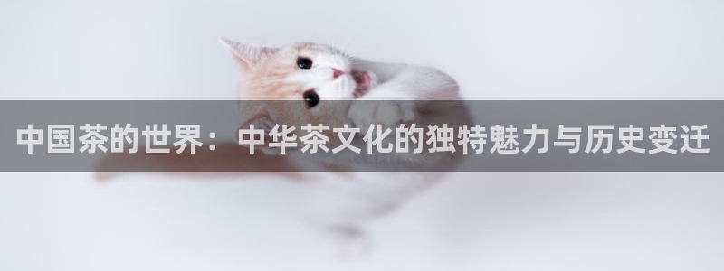 金年会官网app下载