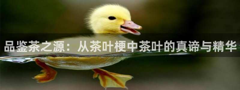 金诚集团年会