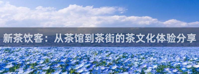 金哥年会