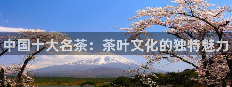金年会官网app下载