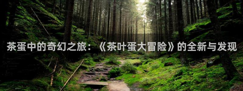 金年会体育平台入口