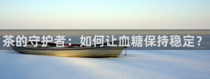 金金年会