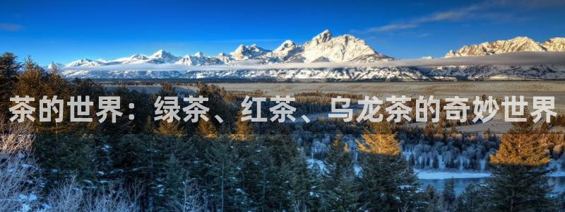 金年会介绍