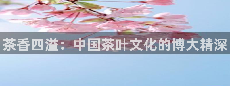 金年会官网入口