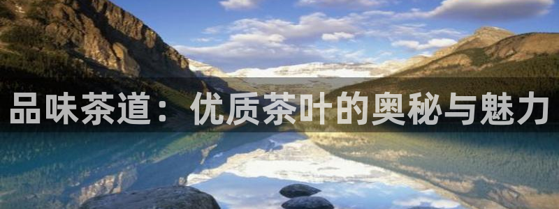 金年会体育官网在线