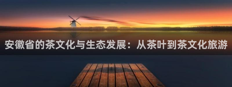 金诺利年会