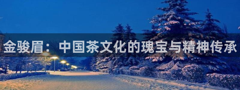 金年会官网