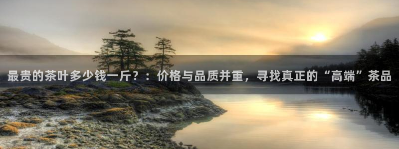 金年会娱乐下载app