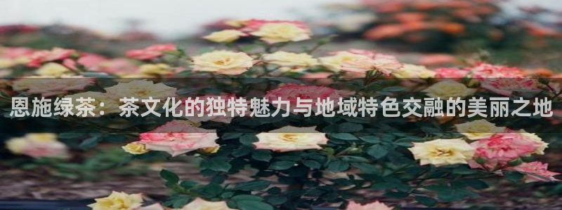 金年会官方体育登录入口