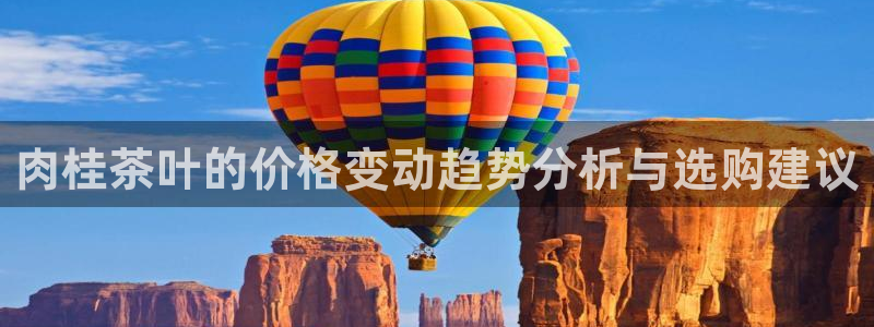 金年会登录入口