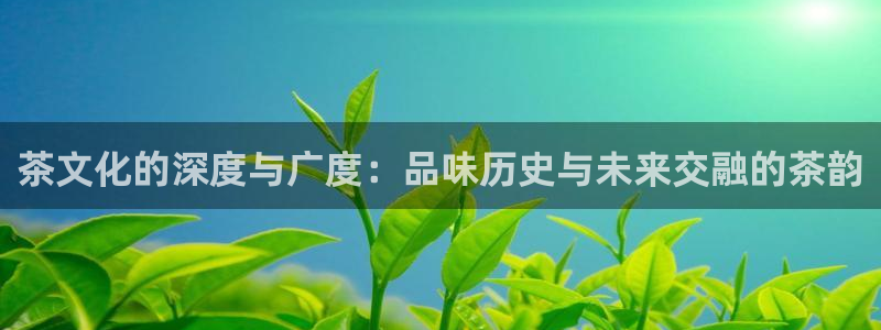 金年会平台是不是大台子