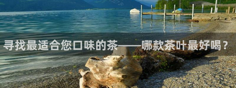 金年会体育app下载