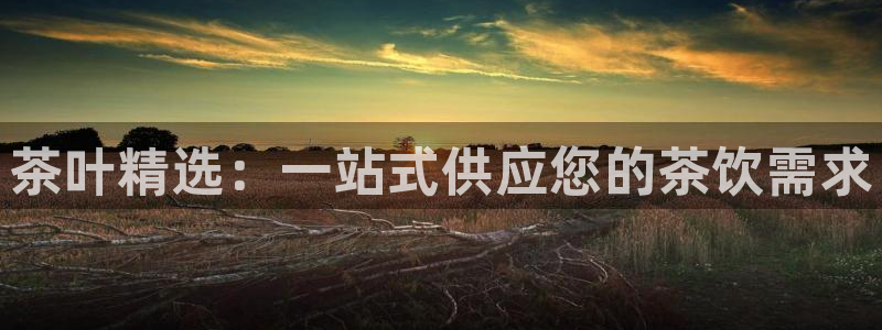 金年会国际