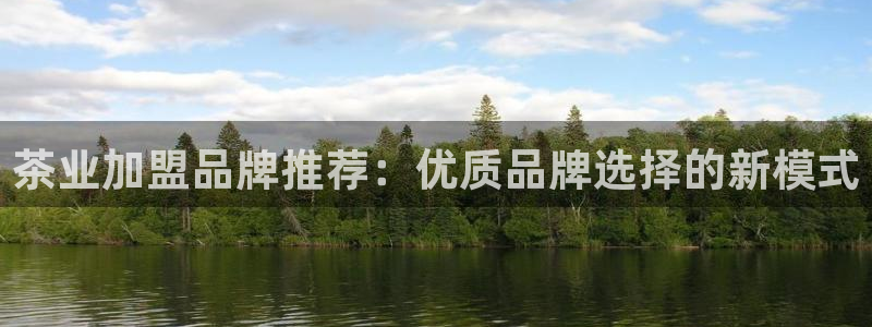 世界杯金年会app下载
