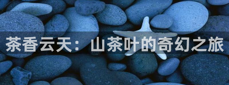 金年会黑网