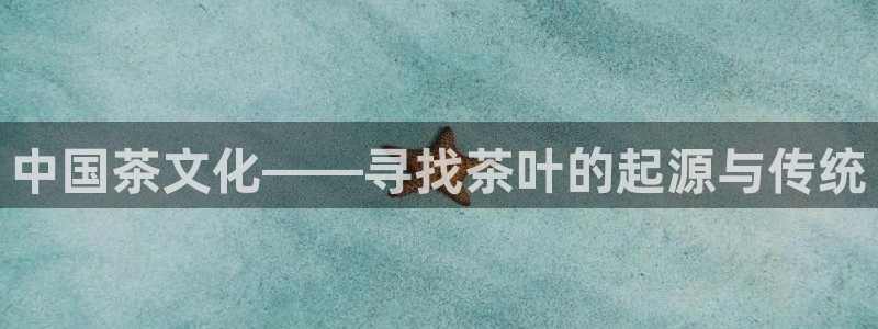年会金句心得