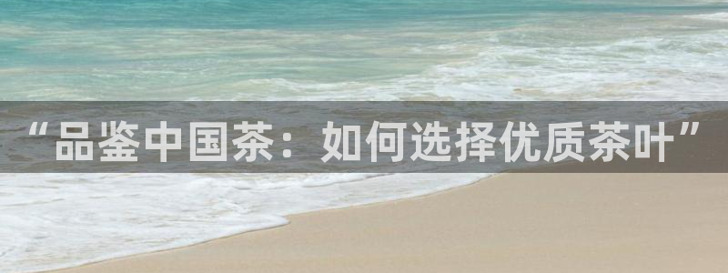 类似金年会