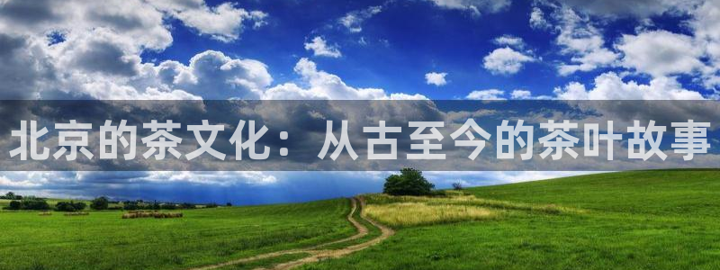 金实年会