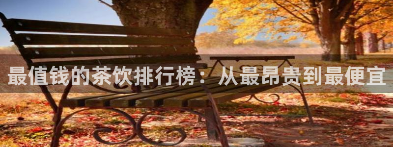 金年会是正规的吗