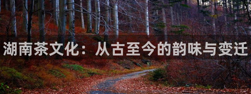 金年会官网app下载