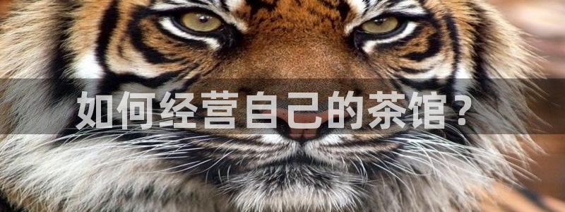 金年会吧
