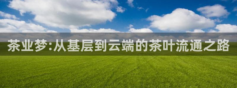 金年会官方体育登录入口