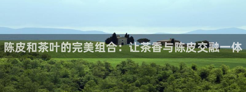 金年会赞助商