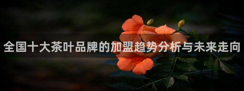 金年会全站app