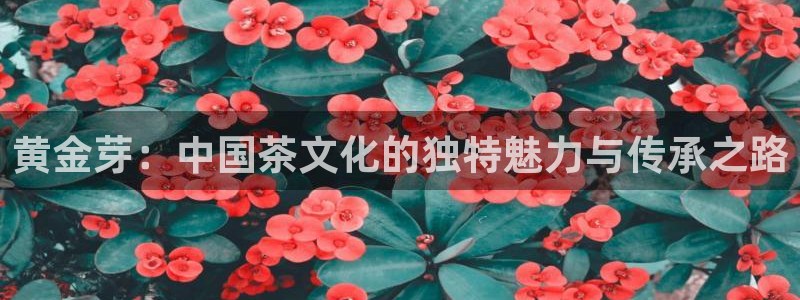 金年会和万博