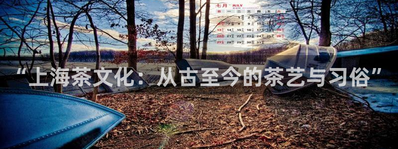 金年会娱乐下载app