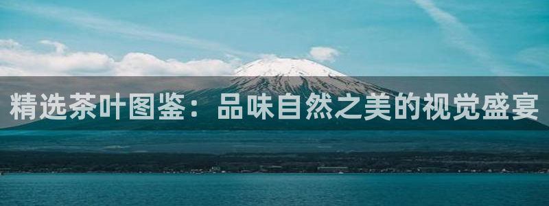 金年会体育app官网