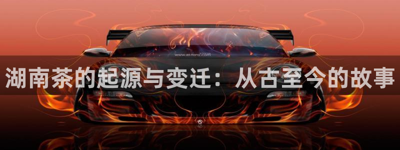 金年会体育app官网