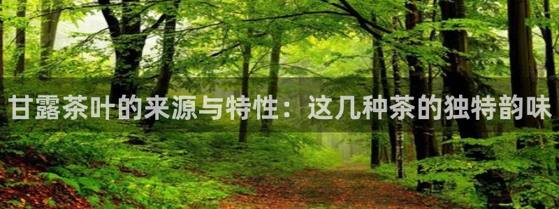 金年会是啥