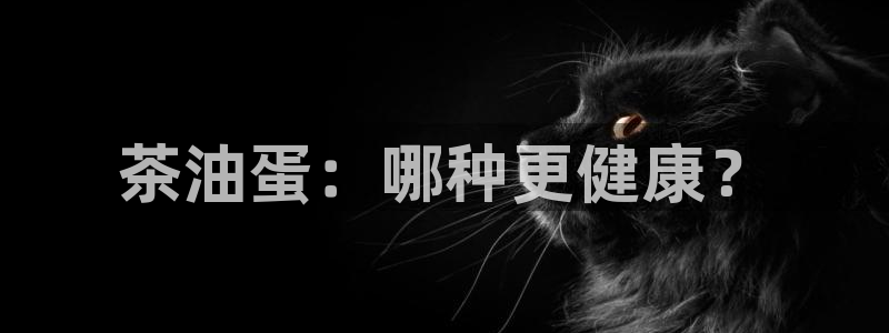 金年会登录平台入口