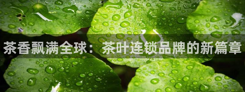 金年会信誉