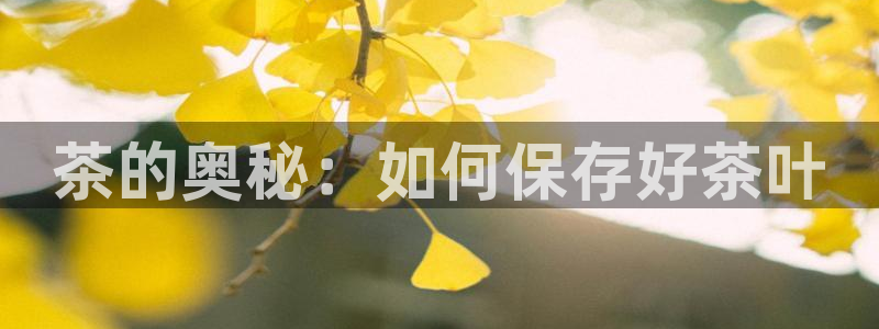 金年会金字招牌