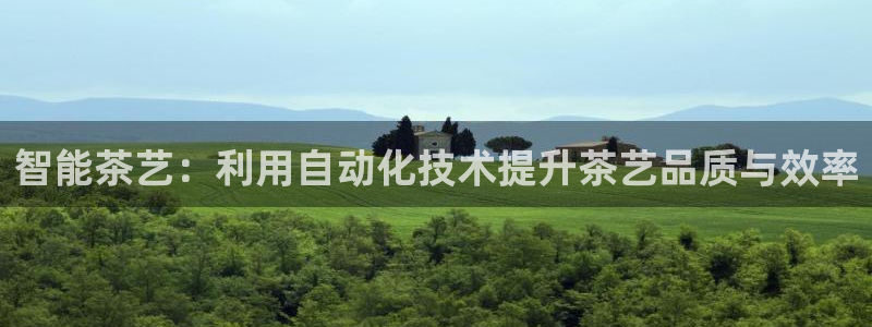 金诚集团年会