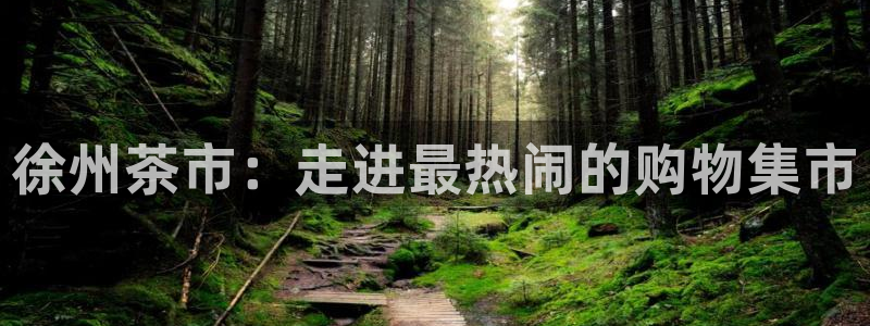 金进年会