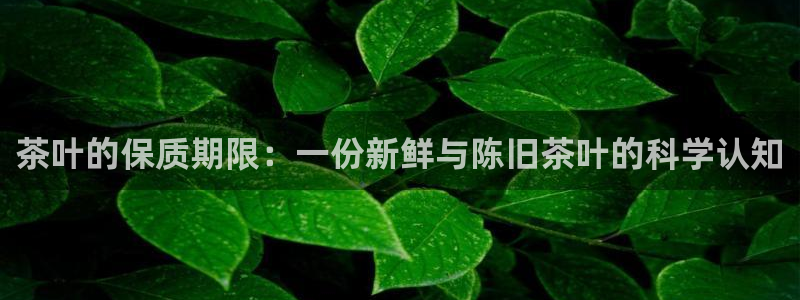 金年会登录