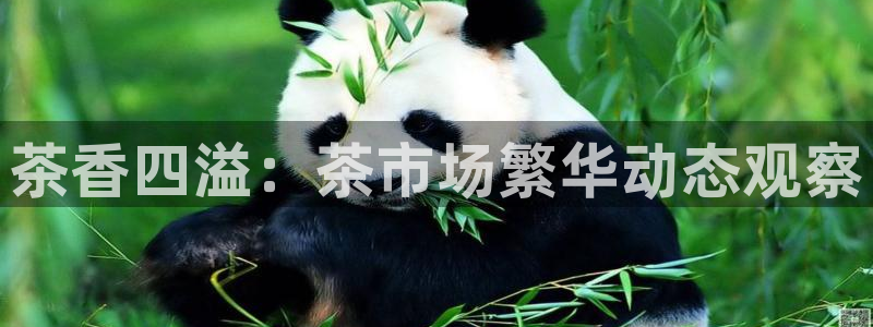金年会体育平台官网